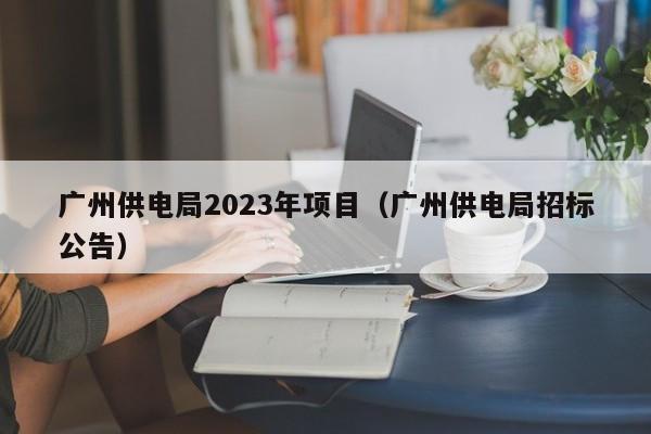 广州供电局2023年项目（广州供电局招标公告）